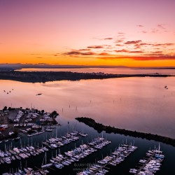 Hastings Haze Hastings Haze