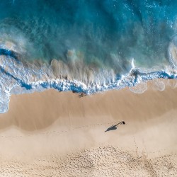 Afternoon Peace Afternoon Peace