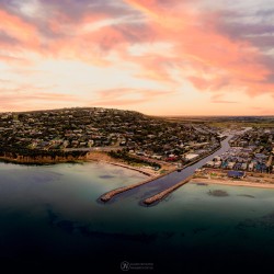 Martha's Cotton Candy Martha's Cotton Candy