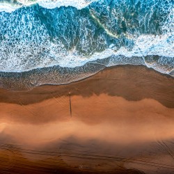 Golden Shadows Golden Shadows