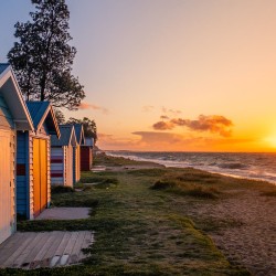 Golden Dromana Beach Boxes Golden Dromana Beach Boxes