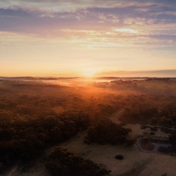 Greensbush Sunrise Greensbush Sunrise