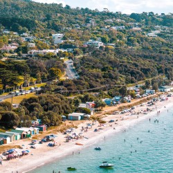 Dromana Summer Dreams Dromana Summer Dreams