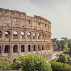 Rome's Colosseum Rome's Colosseum